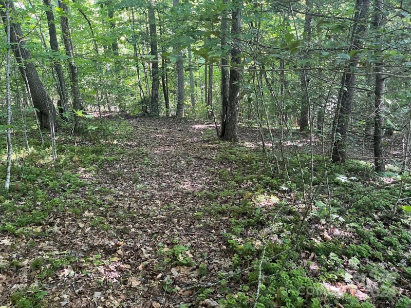 Property image 4 at 00 Haven Drive, Saluda, NC 28773