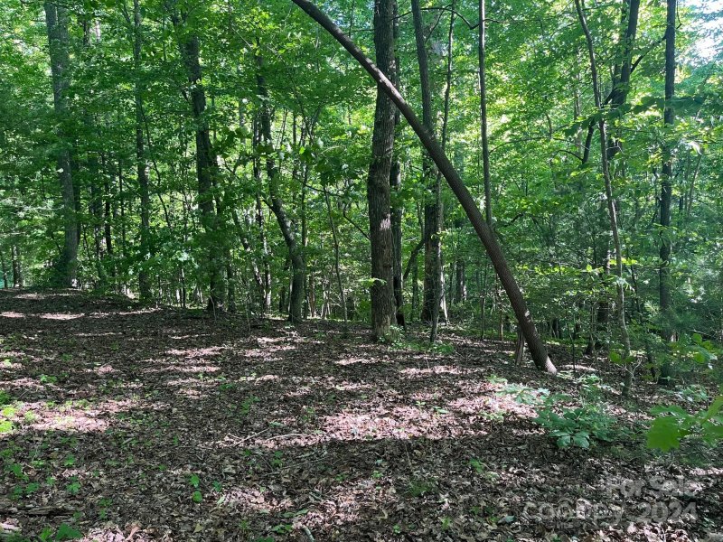 Property image 5 at 00 Haven Drive, Saluda, NC 28773