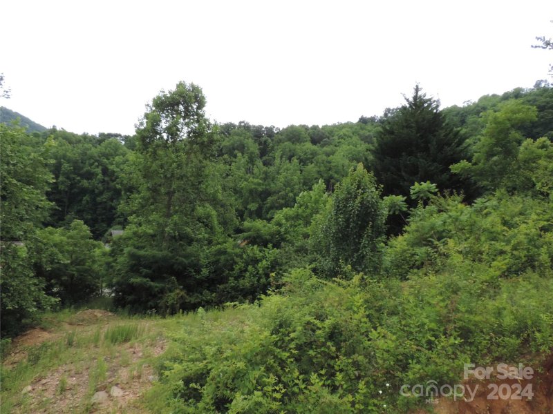 Property image 3 at Lot 14 Constitution Avenue, Waynesville, NC 28785