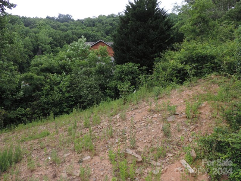 Property image 4 at Lot 14 Constitution Avenue, Waynesville, NC 28785