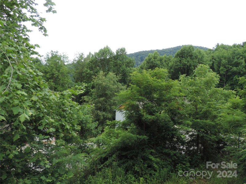 Property image 5 at Lot 14 Constitution Avenue, Waynesville, NC 28785