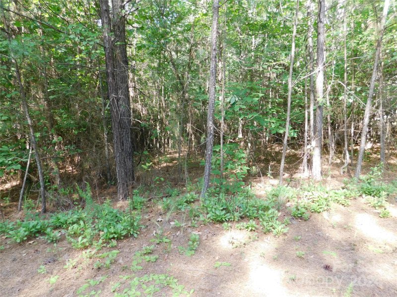 Property image 2 at 231 Grandfathers Pass, Valdese, NC 28690