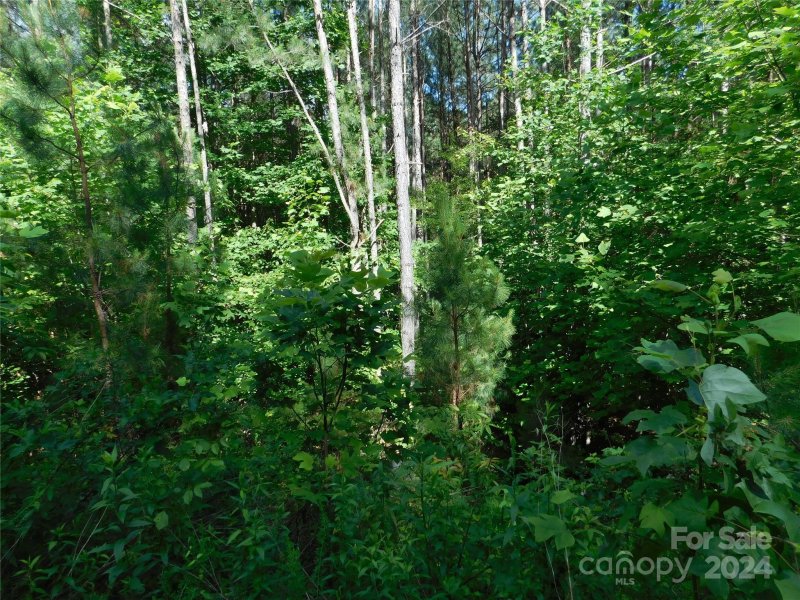 207 W Settings Boulevard