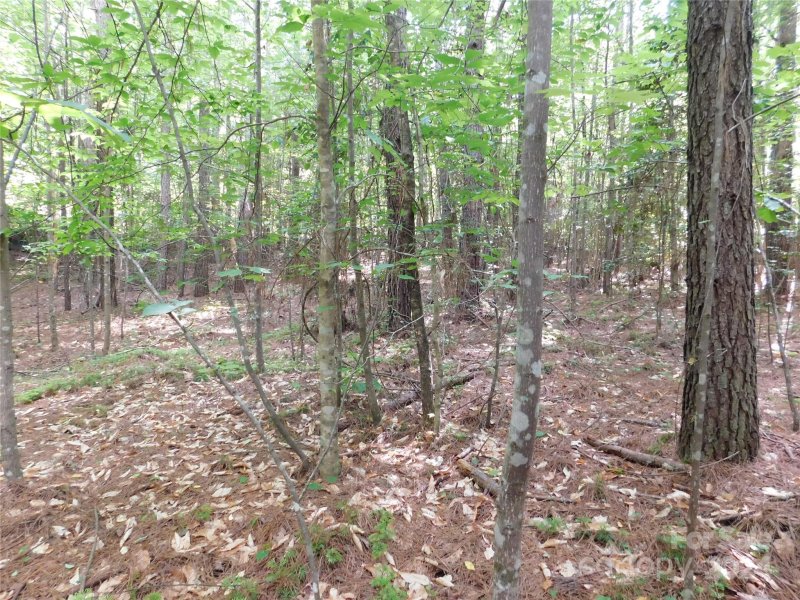 Property image 2 of 207 W Settings Boulevard in Lake Rhodhiss Estates, Valdese, NC 28690