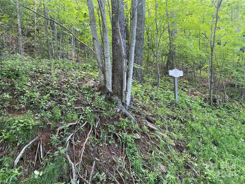 Property image 2 at Lot 18 Cliffs Edge Drive, Burnsville, NC 28714