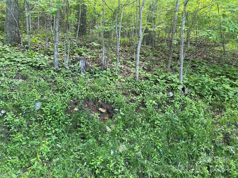 Property image 3 at Lot 18 Cliffs Edge Drive, Burnsville, NC 28714