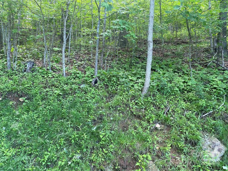 Property image 4 at Lot 18 Cliffs Edge Drive, Burnsville, NC 28714