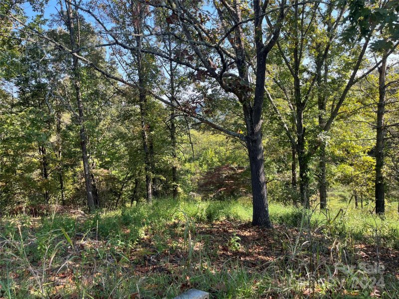 Property image 3 at Tbd Firefly Ridge, Alexander, NC 28701