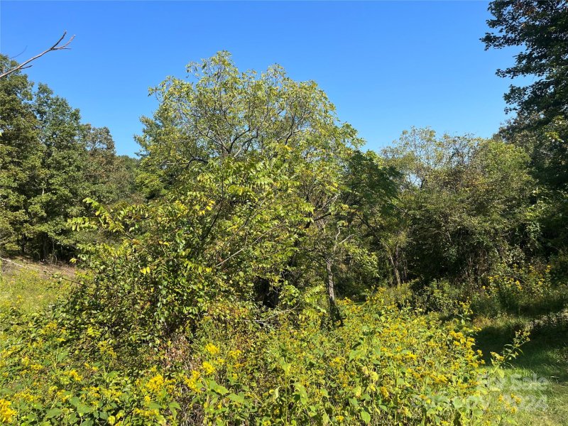 Property image 4 at Tbd Firefly Ridge, Alexander, NC 28701