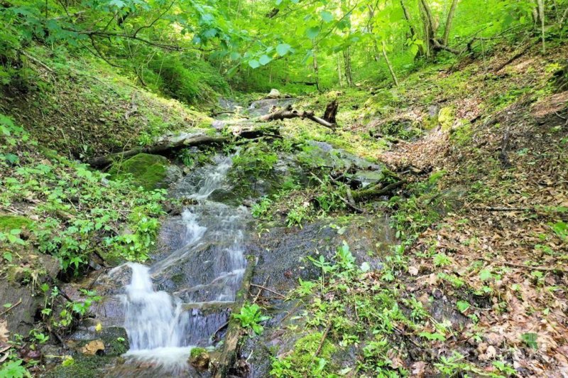 Property image 2 of Lot 284 Running Deer Trail in Villages of Plott Creek, Waynesville, NC 28786