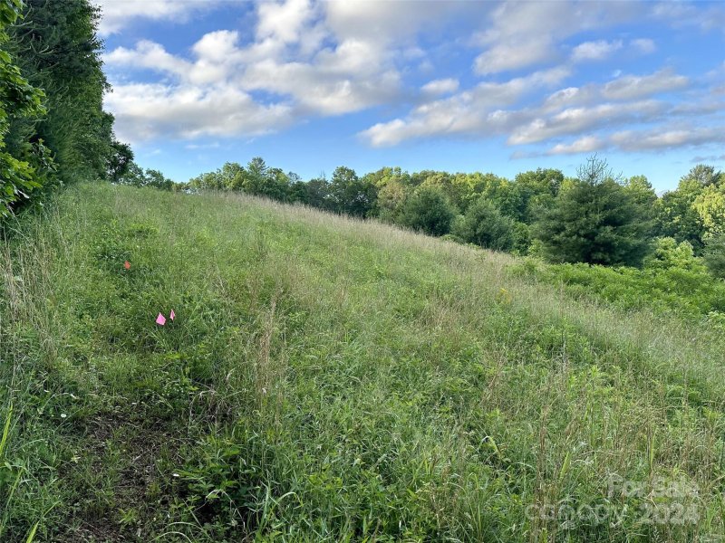 Property image 2 of Lot 21 Dream Valley Drive in Dream Valley, Clyde, NC 28721