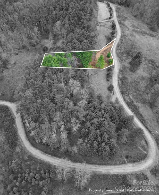 Property image 3 of Lot 22 Dream Valley Drive in Dream Valley, Clyde, NC 28721