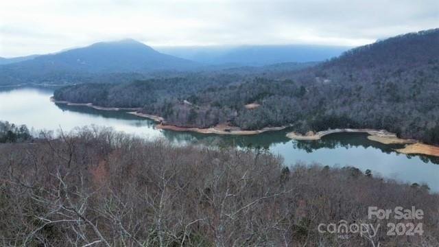 Property image 3 at 0000 Hawks Nest Trail, Lake Lure, NC 28746
