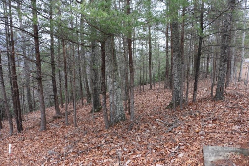 Property image 5 at 0000 Hawks Nest Trail, Lake Lure, NC 28746