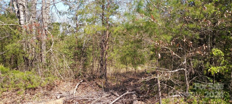 Property image 3 at Tbd Biggerstaff Loop, Nebo, NC 28761