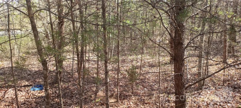 Property image 2 at Tbd Biggerstaff Loop, Nebo, NC 28761