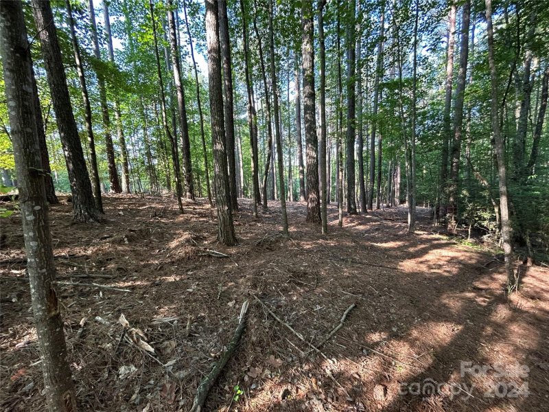 Property image 4 at 164 Greens Road, Granite Falls, NC 28630