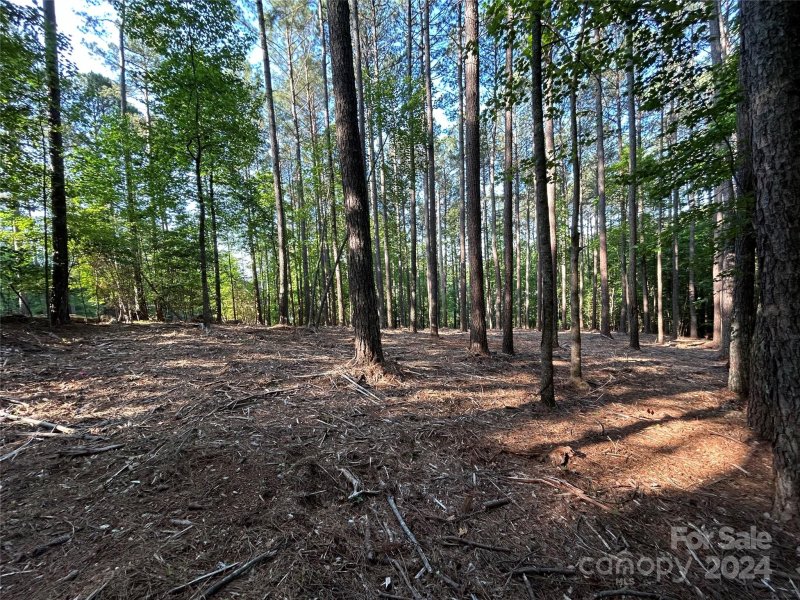 Property image 5 at 164 Greens Road, Granite Falls, NC 28630