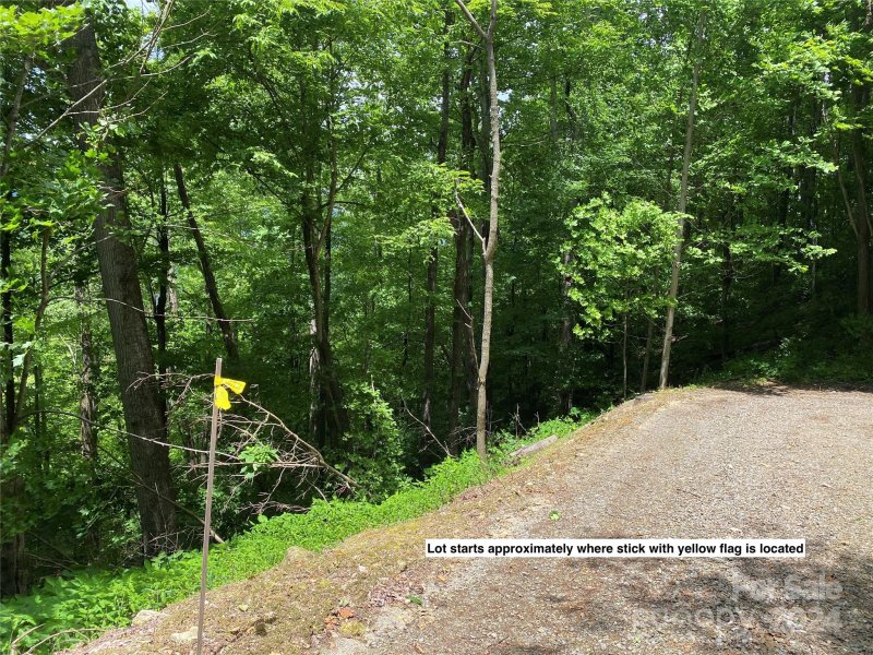 Property image 2 at Lot 524 Curry Comb Trail, Waynesville, NC 28785
