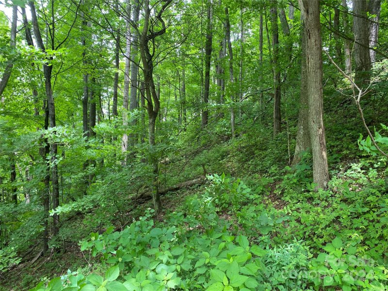 Property image 4 at Lot 524 Curry Comb Trail, Waynesville, NC 28785