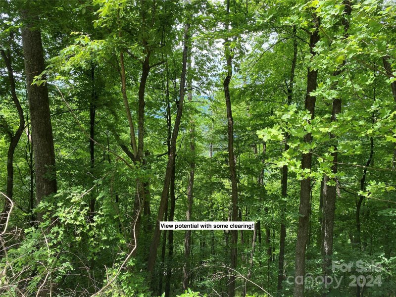 Property image 5 at Lot 524 Curry Comb Trail, Waynesville, NC 28785