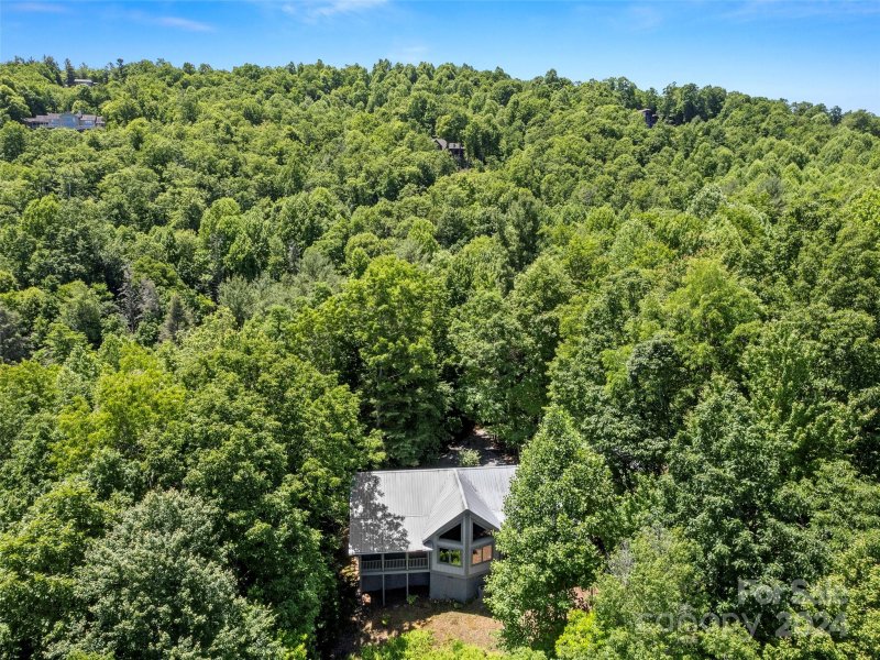 Property image 3 at 233 Lost Mine Trail, Brevard, NC 28712