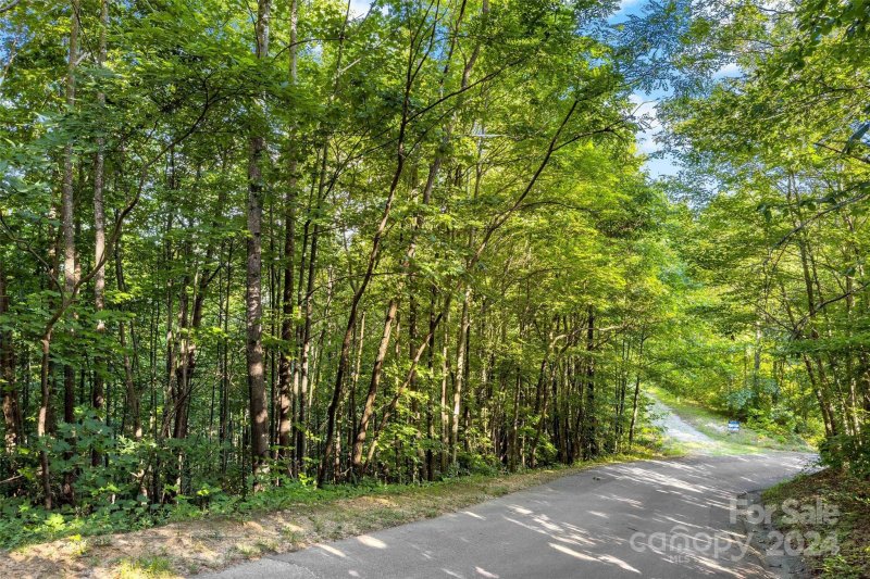 Property image 5 at 133 Nuthatch Lane, Black Mountain, NC 28711