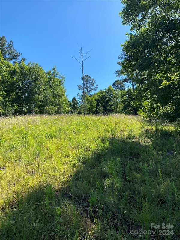 Property image 4 of 2108 Island View Lane in Island Pointe at Lake Vistas, Connelly Springs, NC 28612