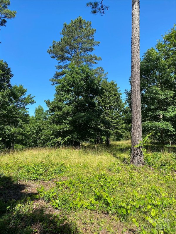 Property image 5 of 2108 Island View Lane in Island Pointe at Lake Vistas, Connelly Springs, NC 28612