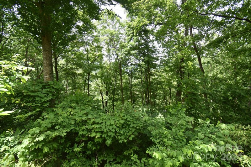 Property image 2 of Lots 105 106 Cicada Drive in Maggie Valley Country Club Est, Maggie Valley, NC 28751
