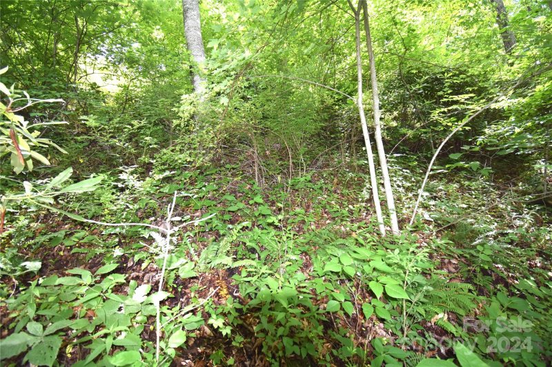 Property image 4 of Lots 105 106 Cicada Drive in Maggie Valley Country Club Est, Maggie Valley, NC 28751