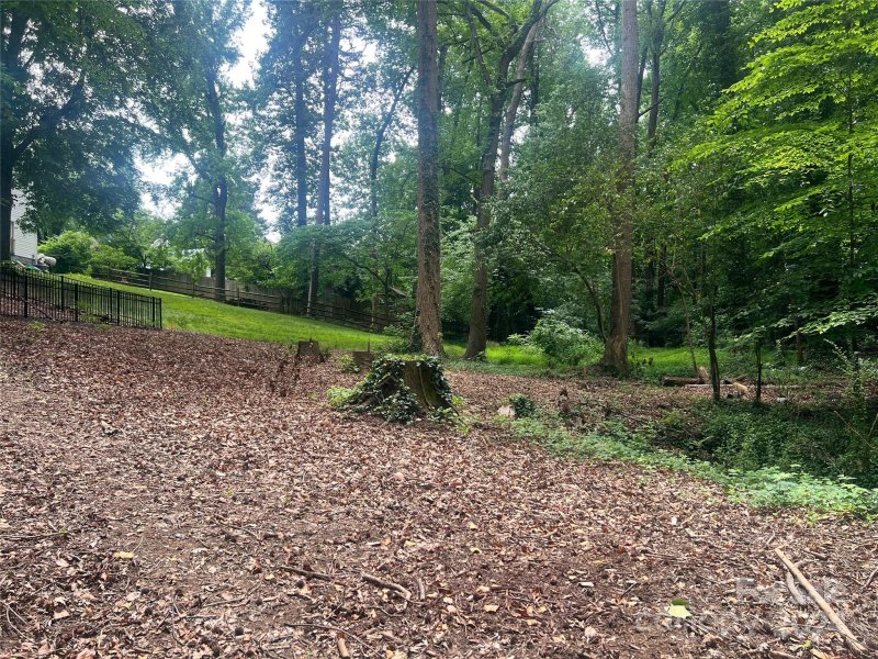 Property image 3 at 830 Dudley Drive, Charlotte, NC 28205