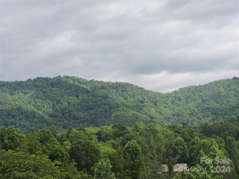 Property image 3 at 60 Gins Lane, Mars Hill, NC 28754