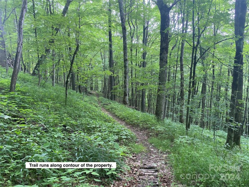 Lots 230 231 Hanging Rock Road