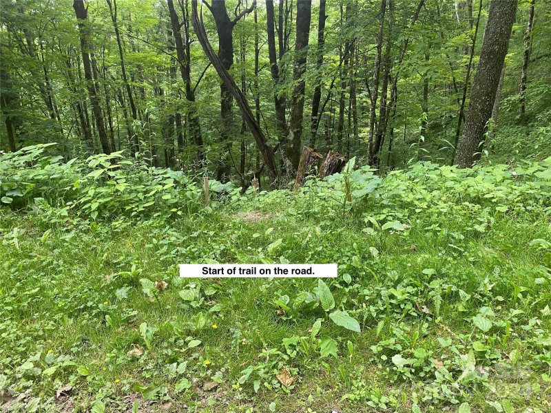 Property image 2 at Lots 230 231 Hanging Rock Road, Mars Hill, NC 28754