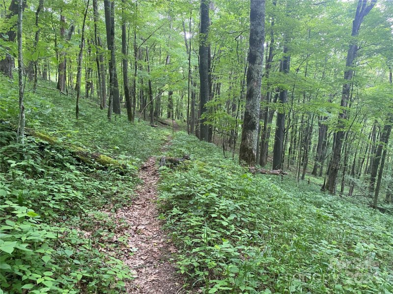 Property image 3 at Lots 230 231 Hanging Rock Road, Mars Hill, NC 28754