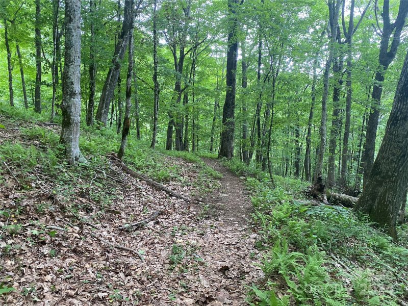 Property image 4 at Lots 230 231 Hanging Rock Road, Mars Hill, NC 28754