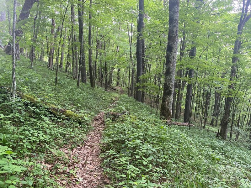 Property image 5 at Lots 230 231 Hanging Rock Road, Mars Hill, NC 28754