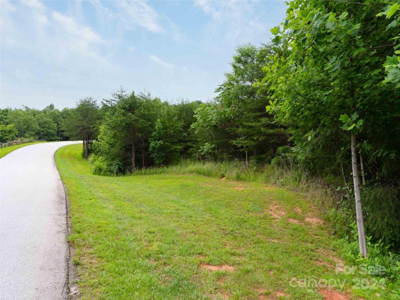 Property image 5 at Lot 61 Deep Gap Farm Road, Mill Spring, NC 28756