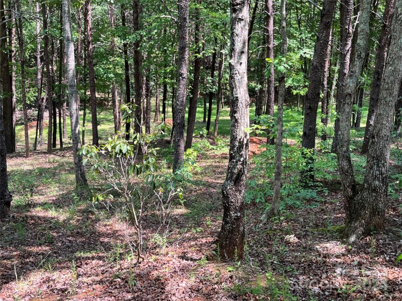 Property image 2 at 000 Mcdaniel Court, Lake Lure, NC 28746