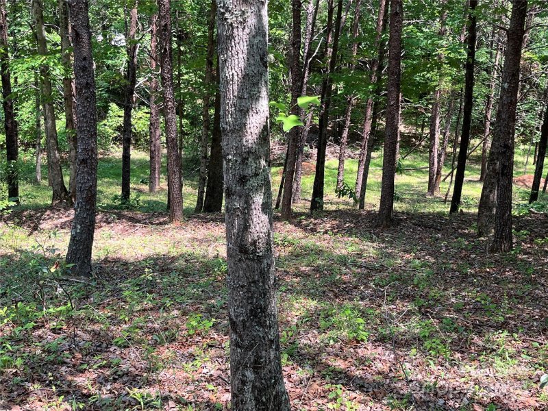 Property image 3 at 000 Mcdaniel Court, Lake Lure, NC 28746