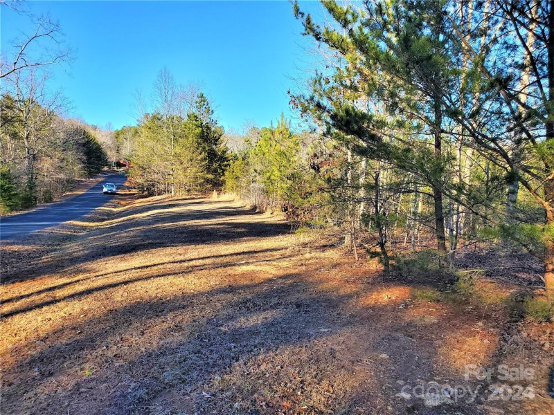 Property image 2 at 0 Rock Ridge Road, Mill Spring, NC 28756