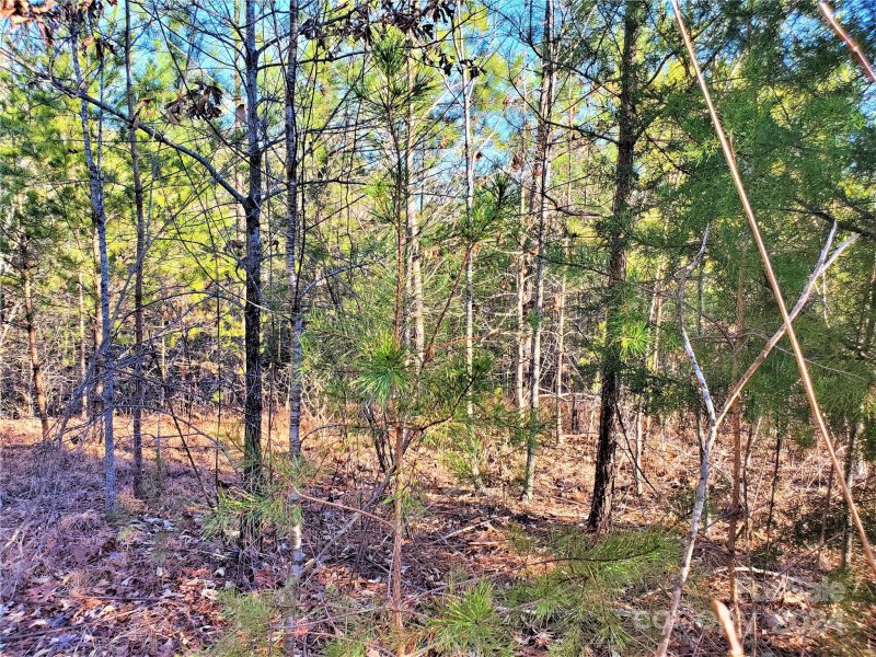 Property image 3 at 0 Rock Ridge Road, Mill Spring, NC 28756