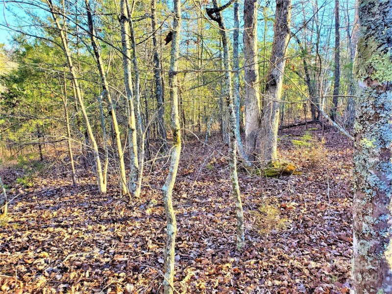 Property image 4 at 0 Rock Ridge Road, Mill Spring, NC 28756