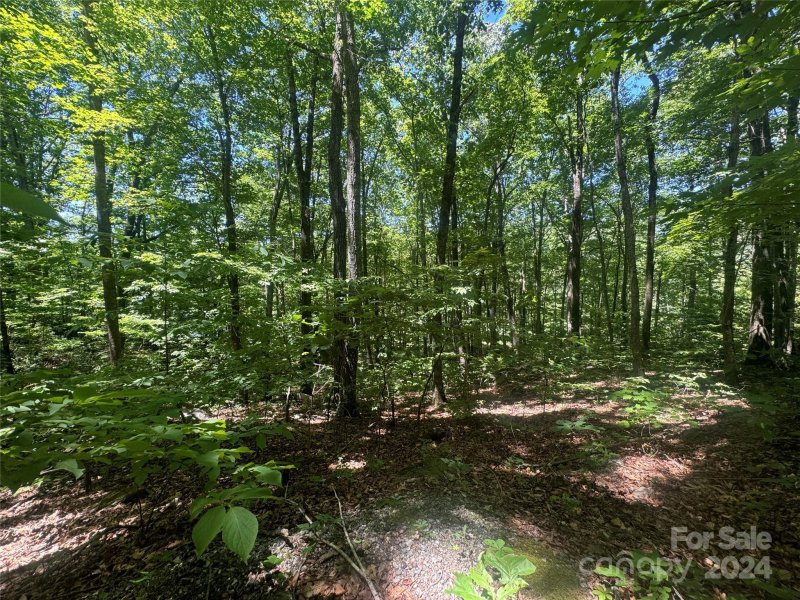 Property image 2 of 165 N Poplar Drive in Riverbend Highlands, Lake Lure, NC 28746