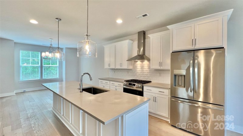 Property image 4 at 743 Beaty Street, Davidson, NC 28036