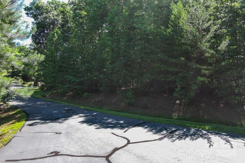 Property image 3 at 59 Aspen Trail, Nebo, NC 28761