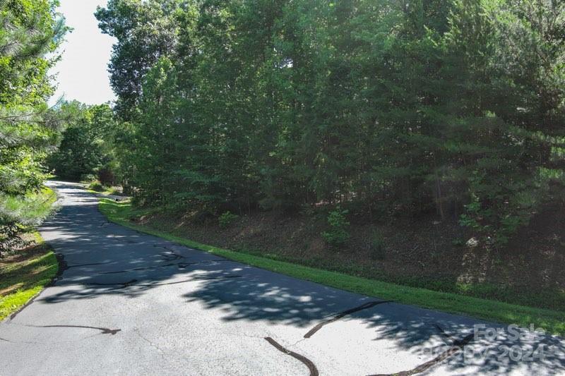 Property image 4 at 59 Aspen Trail, Nebo, NC 28761