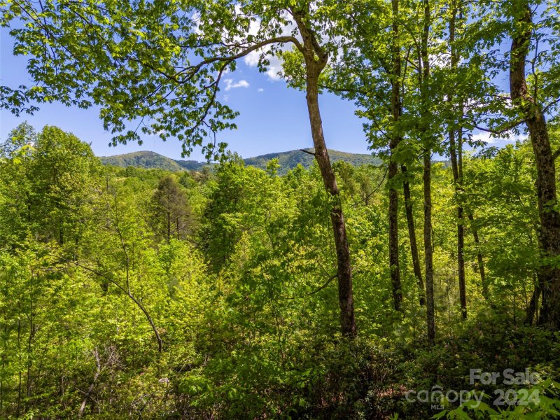 Property image 2 at 58 Next To Last Road None, Saluda, NC 28773