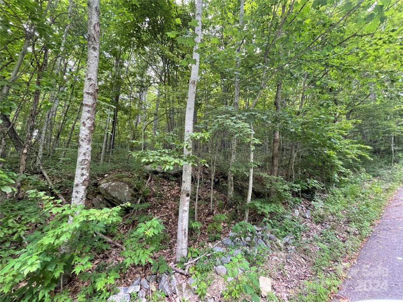 Property image 2 at 0000 Lytle Cove Road, Swannanoa, NC 28778